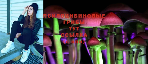 прущие грибы Белокуриха