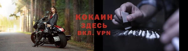 прущие грибы Белокуриха