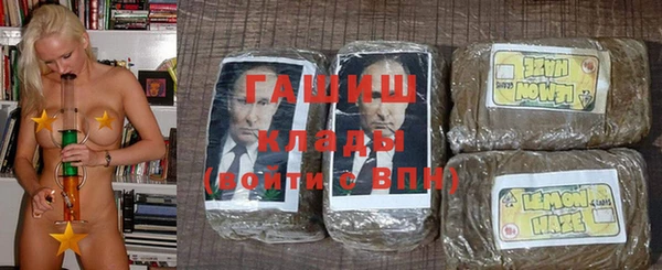 прущие грибы Белокуриха