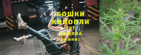 прущие грибы Белокуриха