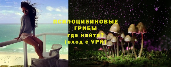 прущие грибы Белокуриха